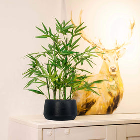 Artificial bamboo detailing adds calm to money tree style setups