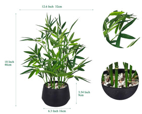 18-inch tall bamboo in black pot suited for office desks