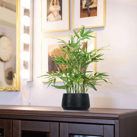 Office decor with 365 Blooming Decor bamboo for a calm workspace