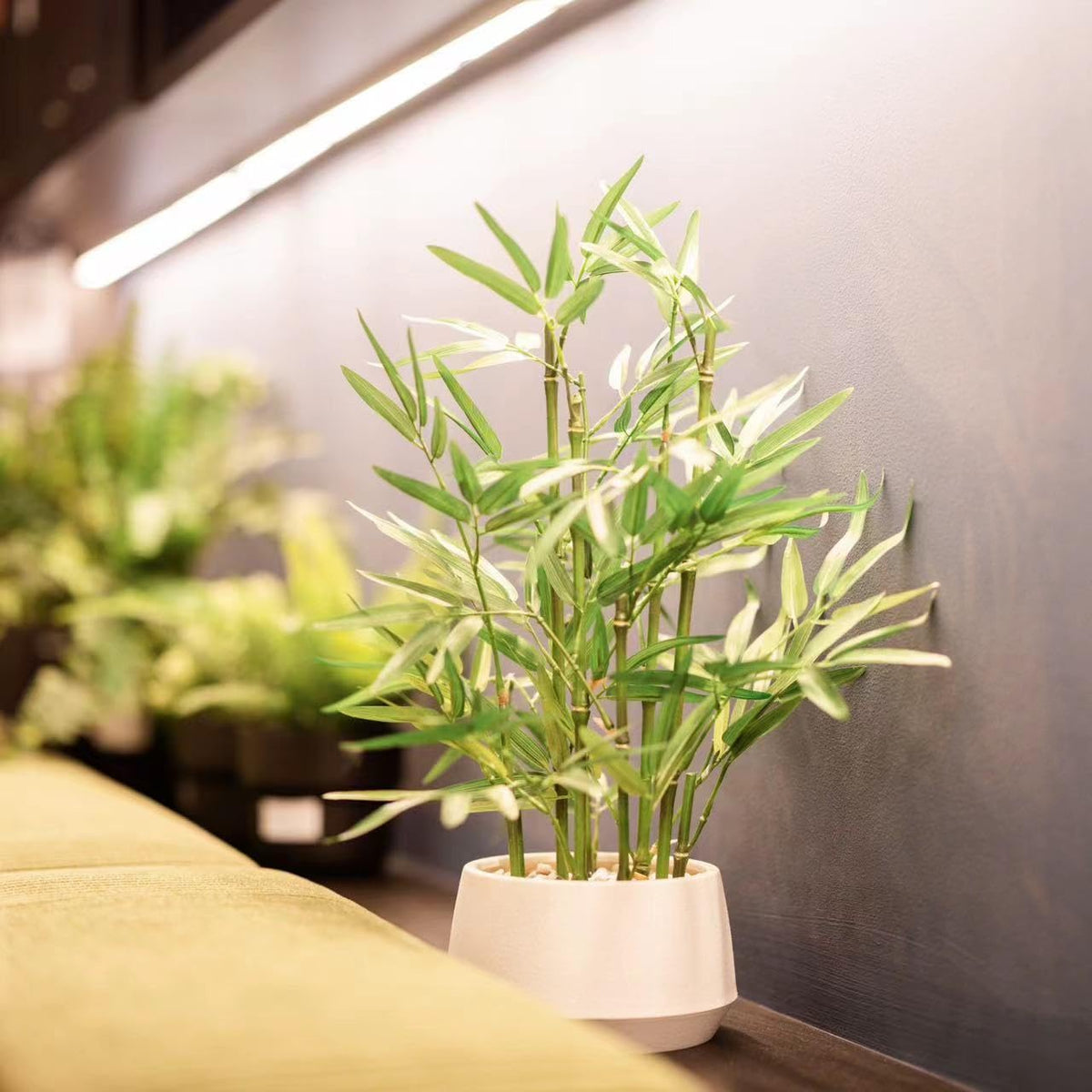 365 Blooming Decor tall bamboo tree serves as a subtle focal point