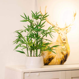365 Blooming Decor white pot arrangement complements contemporary interiors