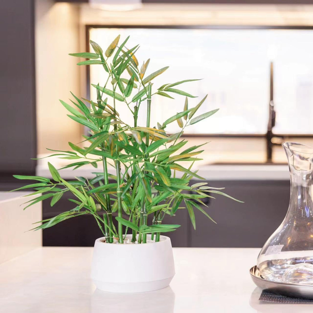 365 Blooming Decor white pot bamboo boosts interior style with low maintenance