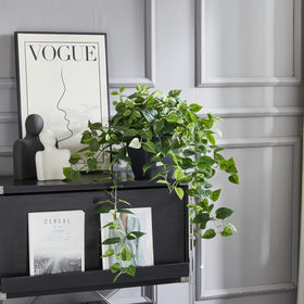 365 Blooming Decor Pothos Ivy leaves right view brightening office spaces