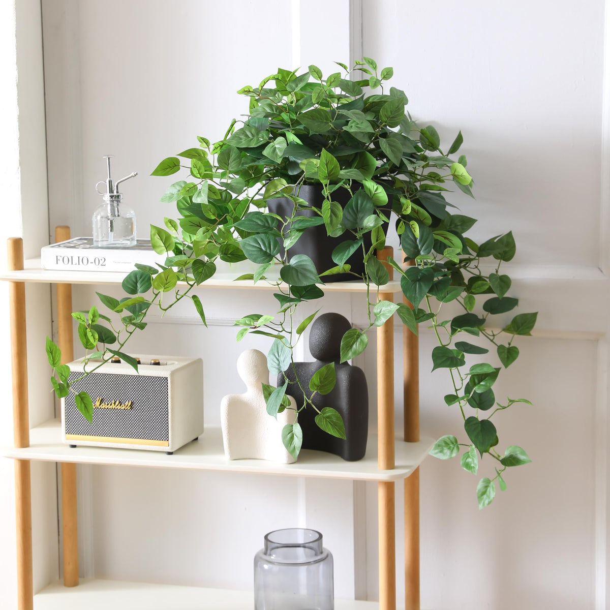 365 Blooming Decor Pothos Ivy outdoors on patio withstands sun