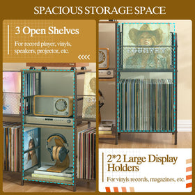 3IngSeagulls 4-tier-vinyl-holders offer ample space for many records