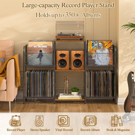 3IngSeagulls vinyl-storage-350-albums showcases your collection and keeps records organized