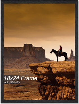 A PLUS MAX 18x24 frame front view for elegant wall display.