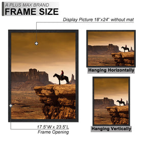A PLUS MAX 18x24 frame with HD protective cover safeguards images.