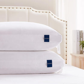 ACCURATEX king-size pillow 2-pack, outer view showing plush comfort and loft.