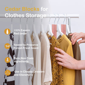 ACMETOP cedar blocks for moisture control in closets and drawers.