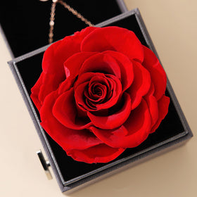AddWel I Love You 100 Languages necklace reveals a multilingual message clearly.