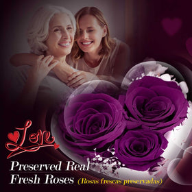 ADDWel preserved rose close-up shows vibrant color and soft, lifelike petals