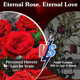 ADDWel preserved roses luxury gift box highlighting ready-to-gift elegance.