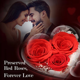 ADDWel preserved rose symbolizes enduring affection for her.