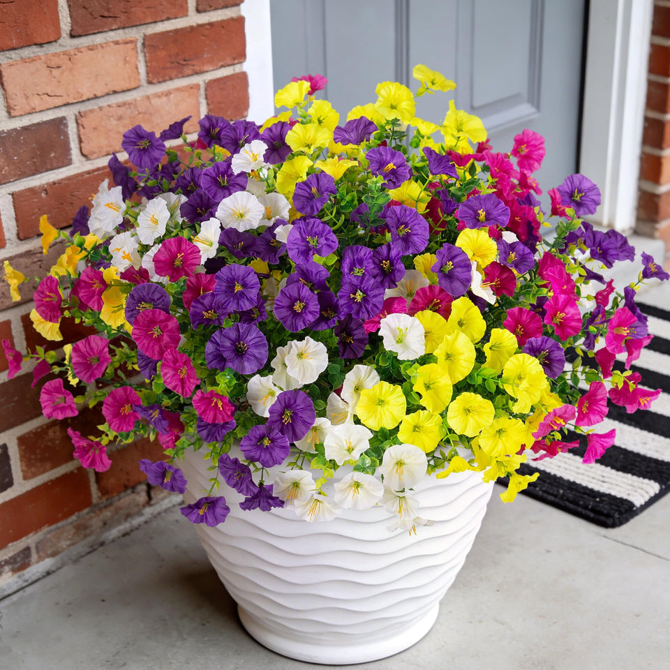 ADXORA 12 bundles Morning Glory outdoor decoration with vibrant, maintenance-free color.