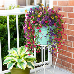 ADXORA balcony, patio, yard hanging flowers boost curb appeal.