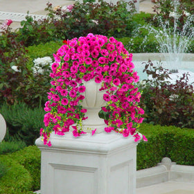 ADXORA bendable stems let you shape bouquets to fit any space