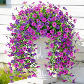 ADXORA hanging daisies with eucalyptus for outdoor porch decor.