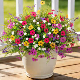 ADXORA daisy purple outdoor bundle for vibrant planter decor