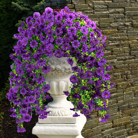 ADXORA hanging bouquet with 16 forks and 132 tiny blooms.