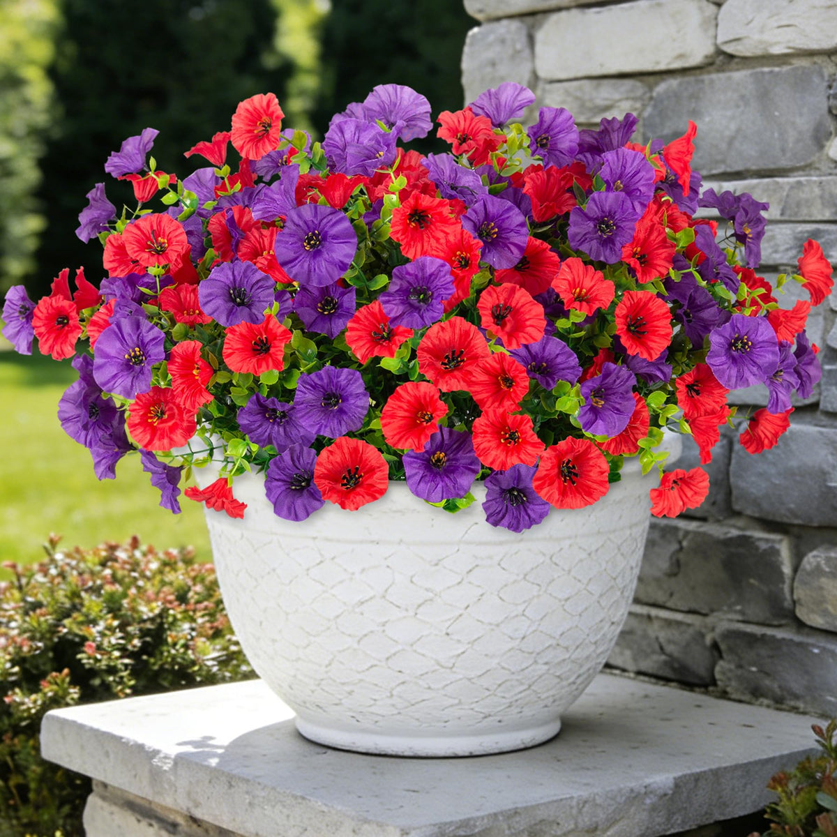 ADXORA Morning Glory 12 Bundles in outdoor display for lasting color