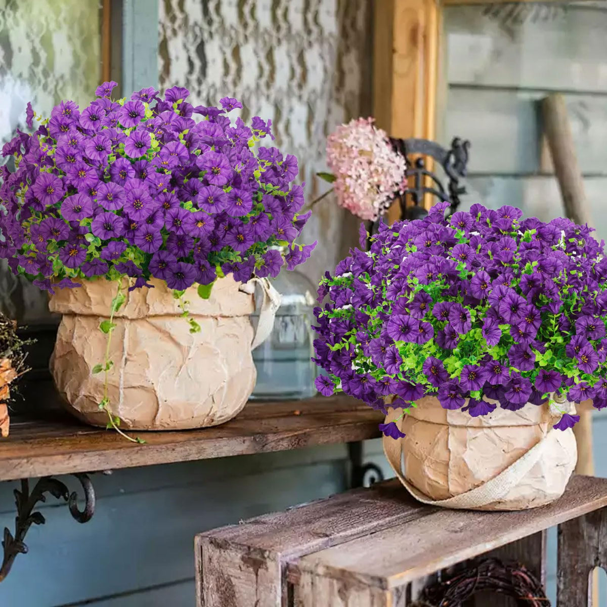 ADXORA morning glory bouquet in a window box for year-round color.