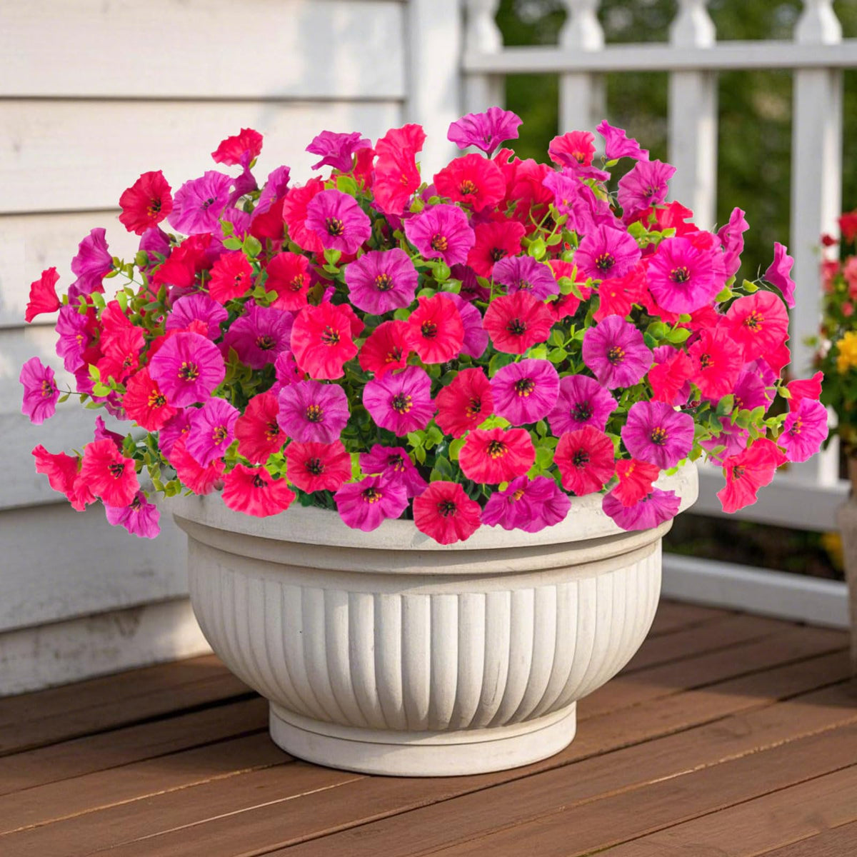 ADXORA Morning Glory bundles for outdoor display with UV-resistant color