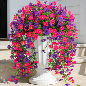 ADXORA morning glory hanging bundles with eucalyptus for durable porch decor.