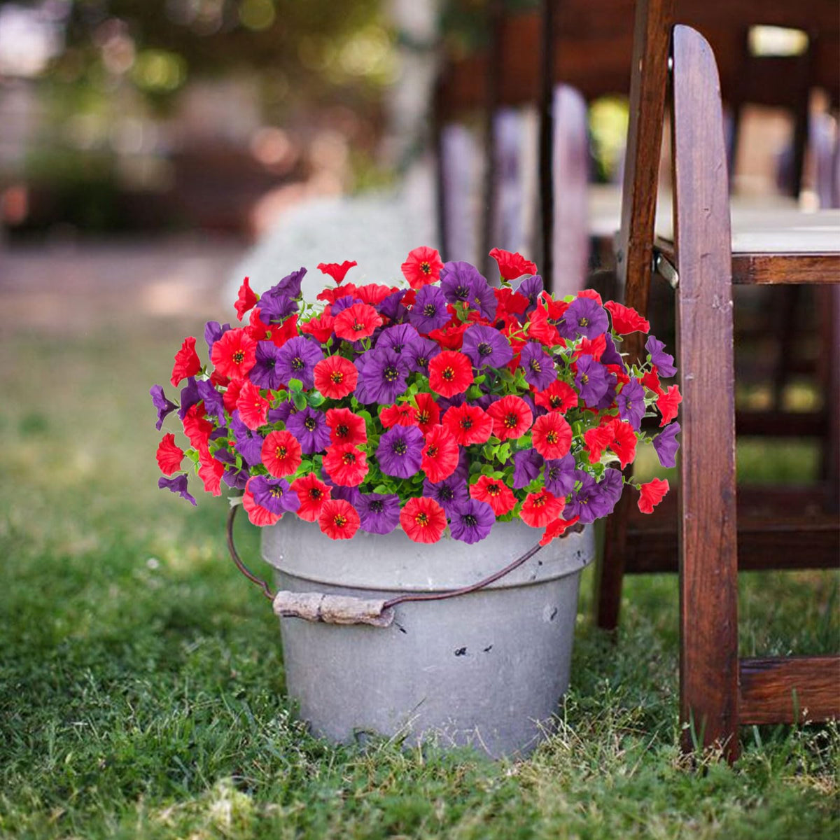 ADXORA Morning Glory on patio adds UV-resistant charm
