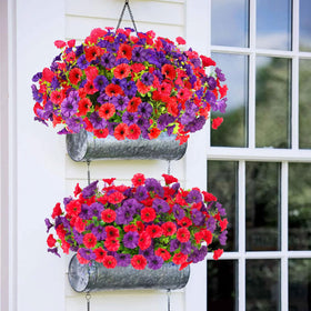 ADXORA Morning Glory tabletop display adds color to desks
