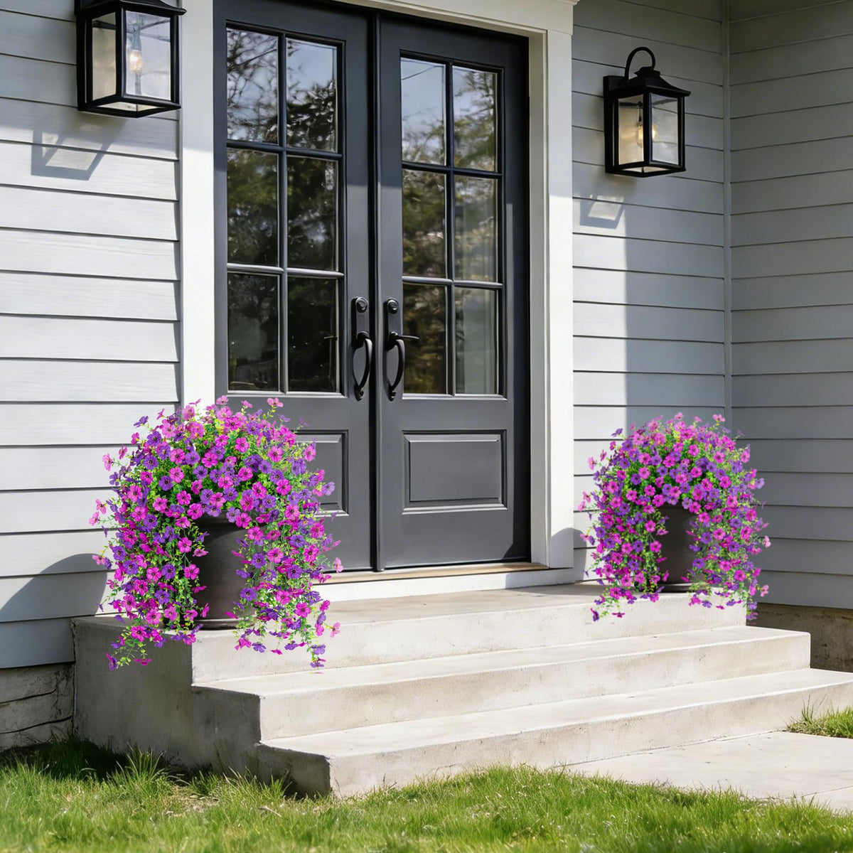 ADXORA maintenance-free daisies for planter boxes with natural appeal.