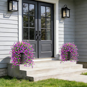 ADXORA maintenance-free daisies for planter boxes with natural appeal.