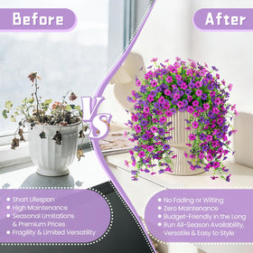 ADXORA UV-resistant outdoor flowers boost color in sunlight.