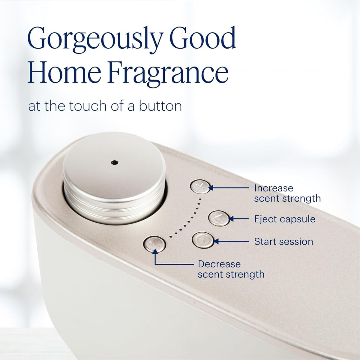 AERA Beach House Diffuser Ready note emphasizes long-lasting freshness