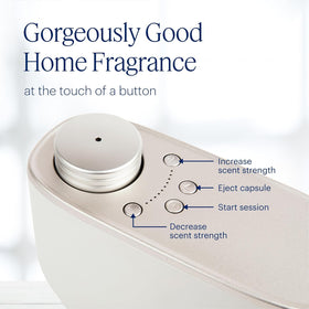 AERA Beach House Diffuser Ready note emphasizes long-lasting freshness