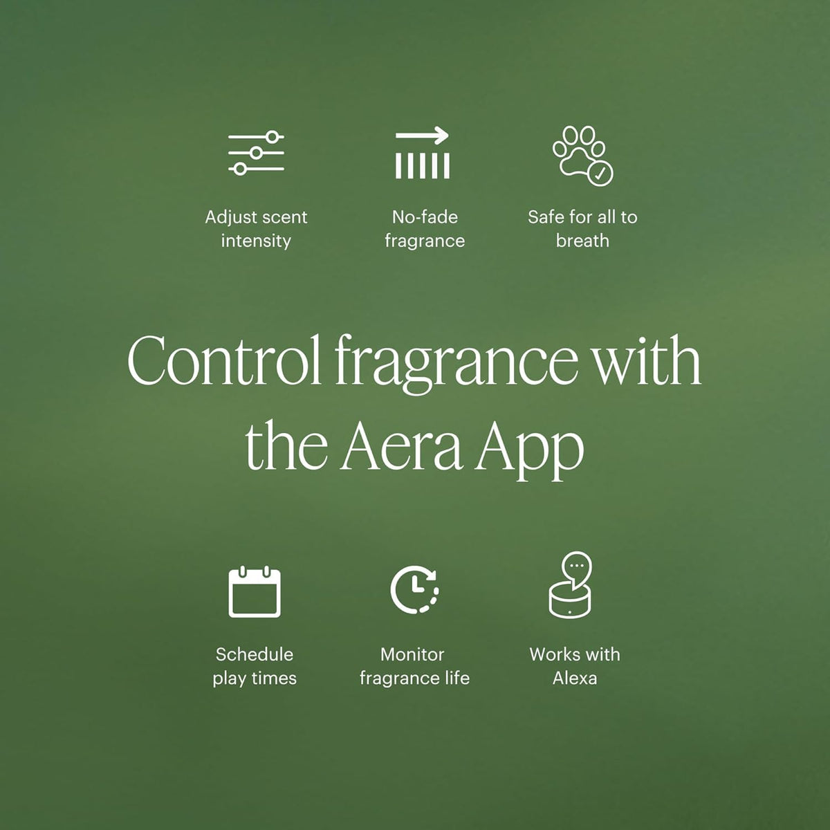 AERA Beach House Packaging Closeup highlights premium vegan formulation