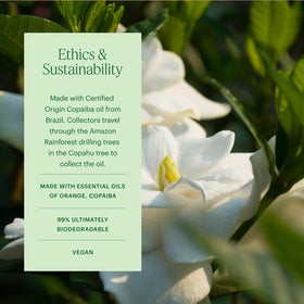 Aera Copaiba oil packaging indicating ethical origin from Brazil.