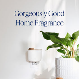 AERA Mini diffuser app-control enables remote scheduling and scent management.