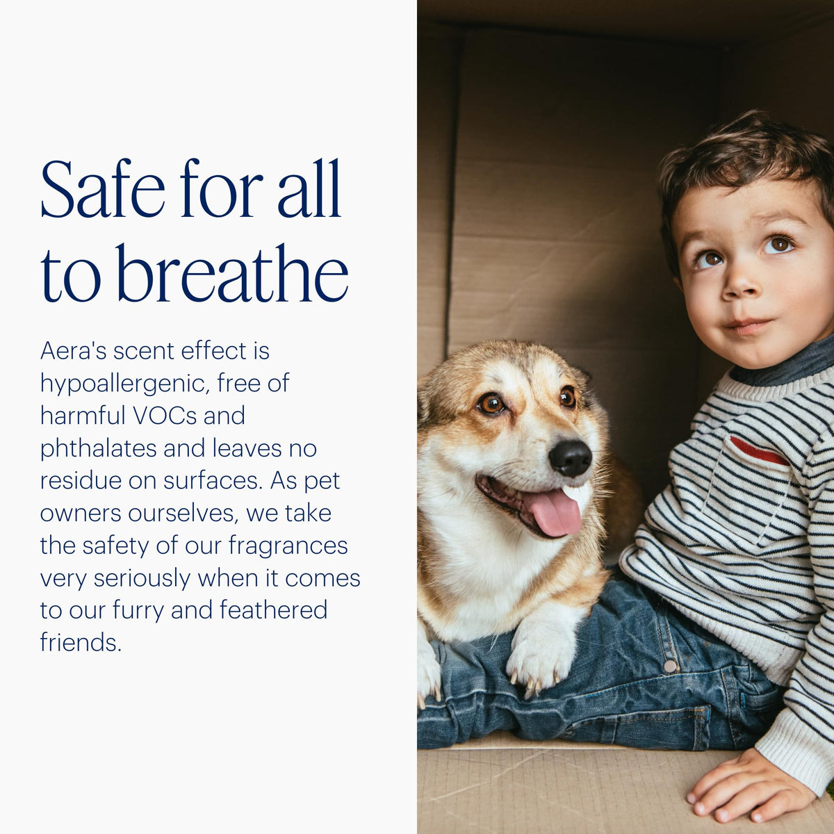 AERA Mini diffuser hypoallergenic, alcohol-free aroma for safer homes.
