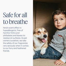 AERA Mini diffuser hypoallergenic, alcohol-free aroma for safer homes.