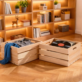 Aescwyn crate for vinyl records keeps albums neatly organized and stylish.