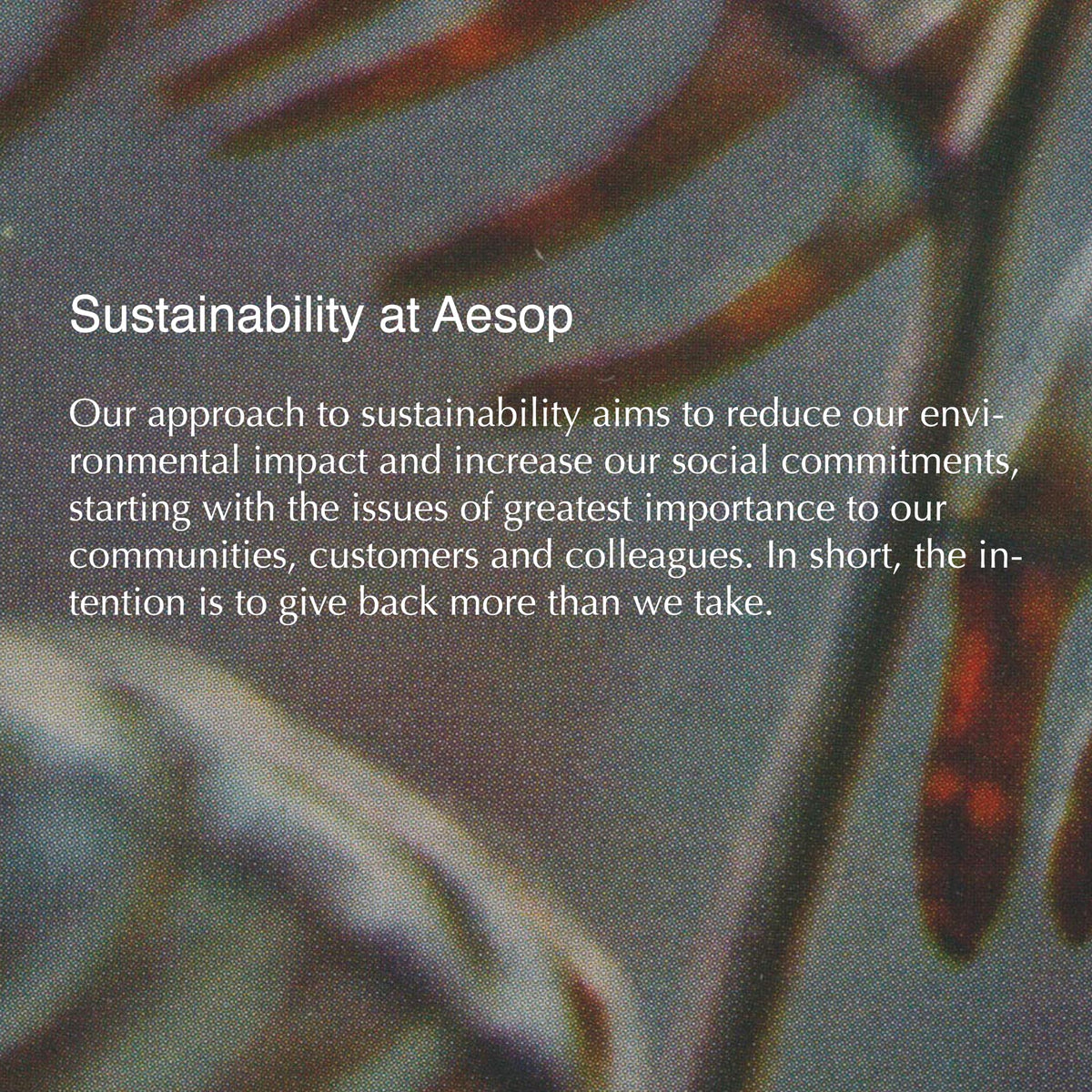 Aesop Istros room diffusion illustrating luxury interior scent.