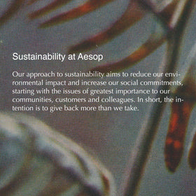 Aesop Istros room diffusion illustrating luxury interior scent.