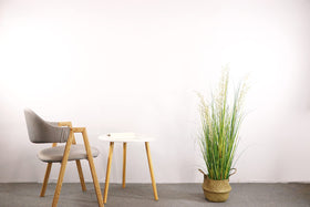 AfanD grass plant with silk reed flowers creates an elegant living room accent.