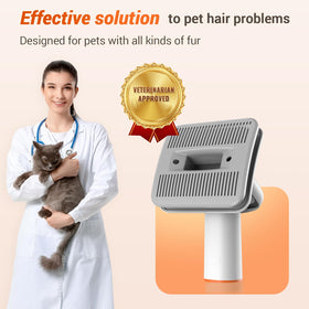 Afloia retractable bristles for safe storage after grooming