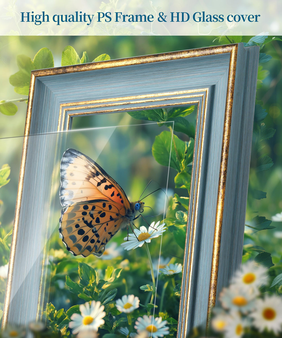 Afuly blue-gold frame front glass close-up showing crisp display