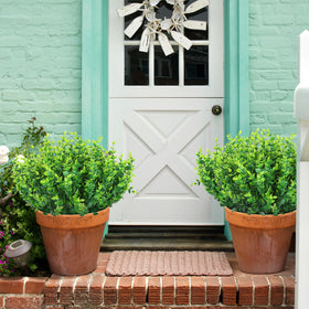 AGIRL greenery on terraces and porches brings year-round color.