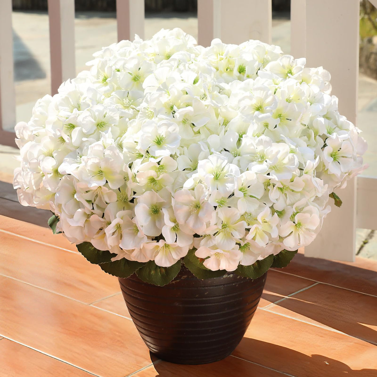 AGIRL UV-resistant geraniums keep color through sun and rain.