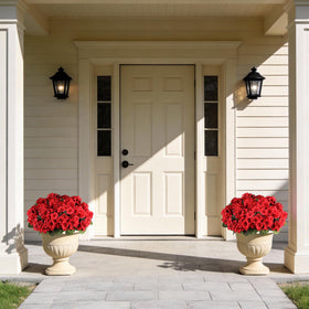 AGIRL UV-resistant geraniums endure sun and rain without fading.