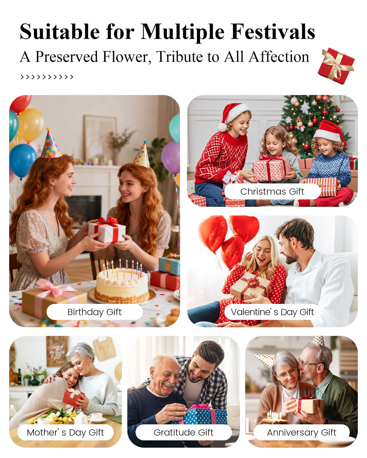 AGRUL daughter gift rose dome offers a thoughtful lasting surprise.